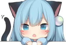 NekoRay最新Windows/Linux科学上网代理客户端下载 机场节点订阅配置使用教程-Clash中文网